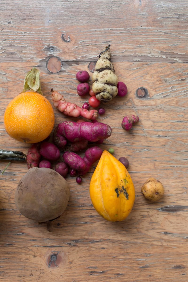 Wolfgang Tillmans - Still life (Bogota : Berlin), 2012