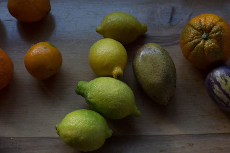 Wolfgang Tillmans - Still life Calafquen, 2013