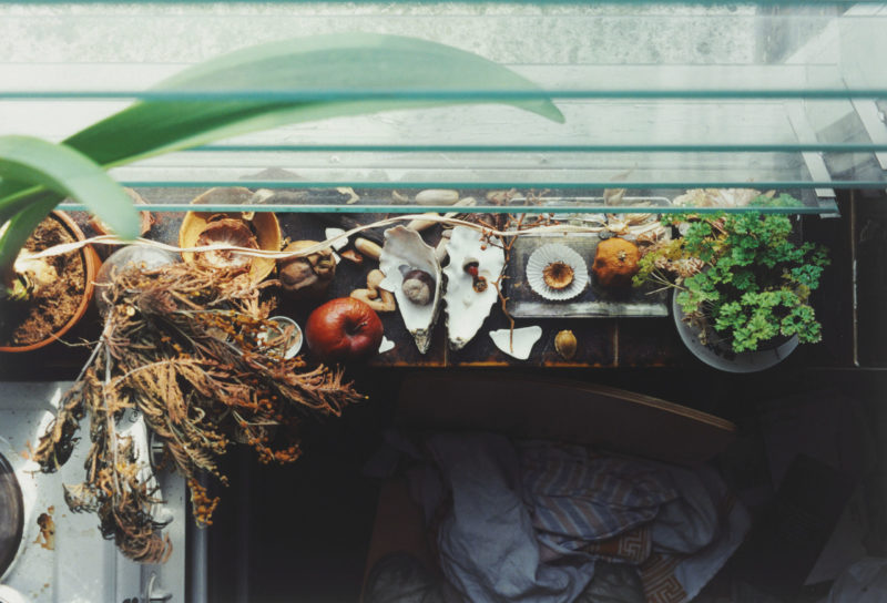 Wolfgang Tillmans - Still life, Grays Inn Road I, 1999