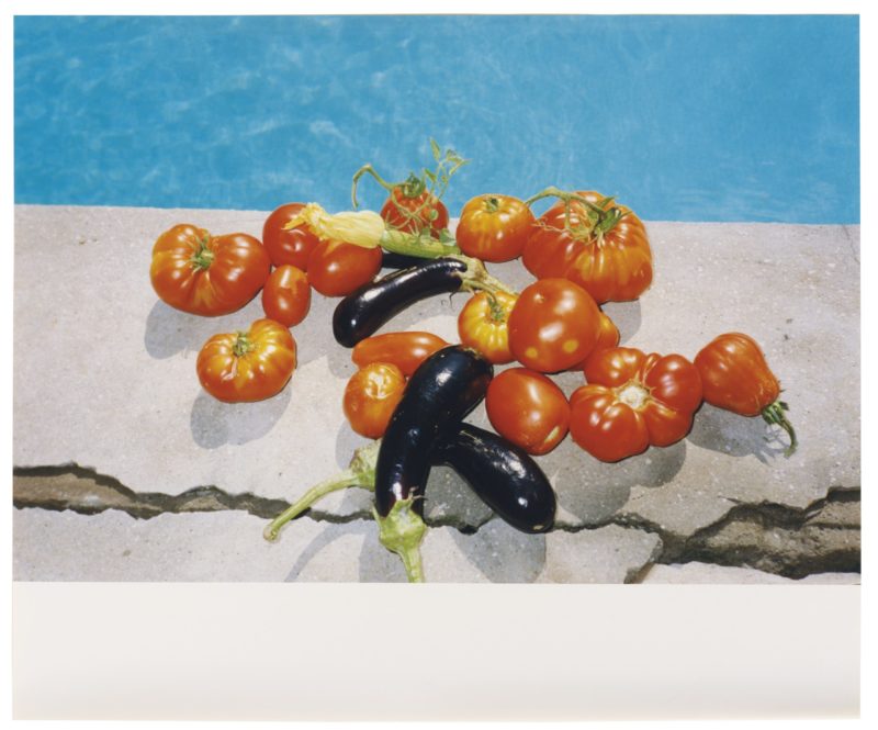 Wolfgang Tillmans - Still life, Pomodoro, 1993