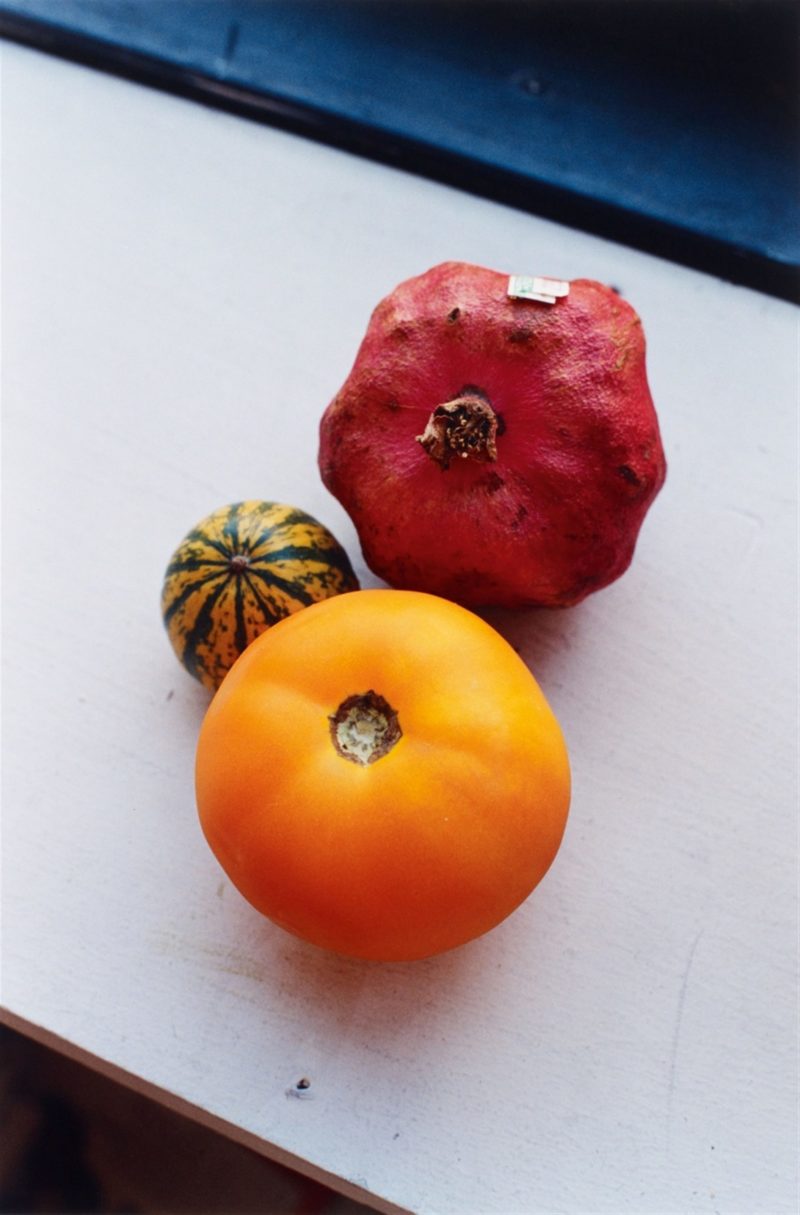 Wolfgang Tillmans - Still life, Pumpkin, Tomato & Pomme Granate, 1995