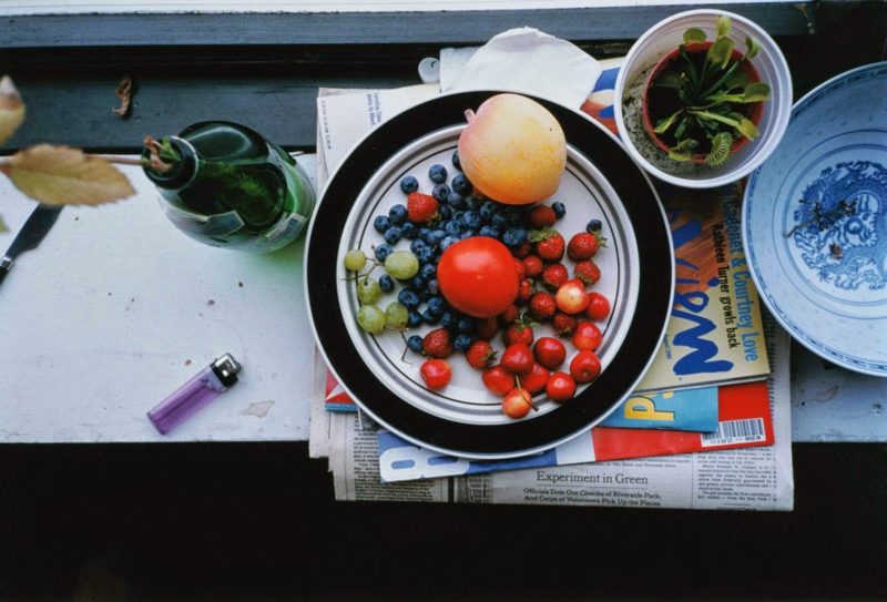 Wolfgang Tillmans - Still life, Summer still life, 1995