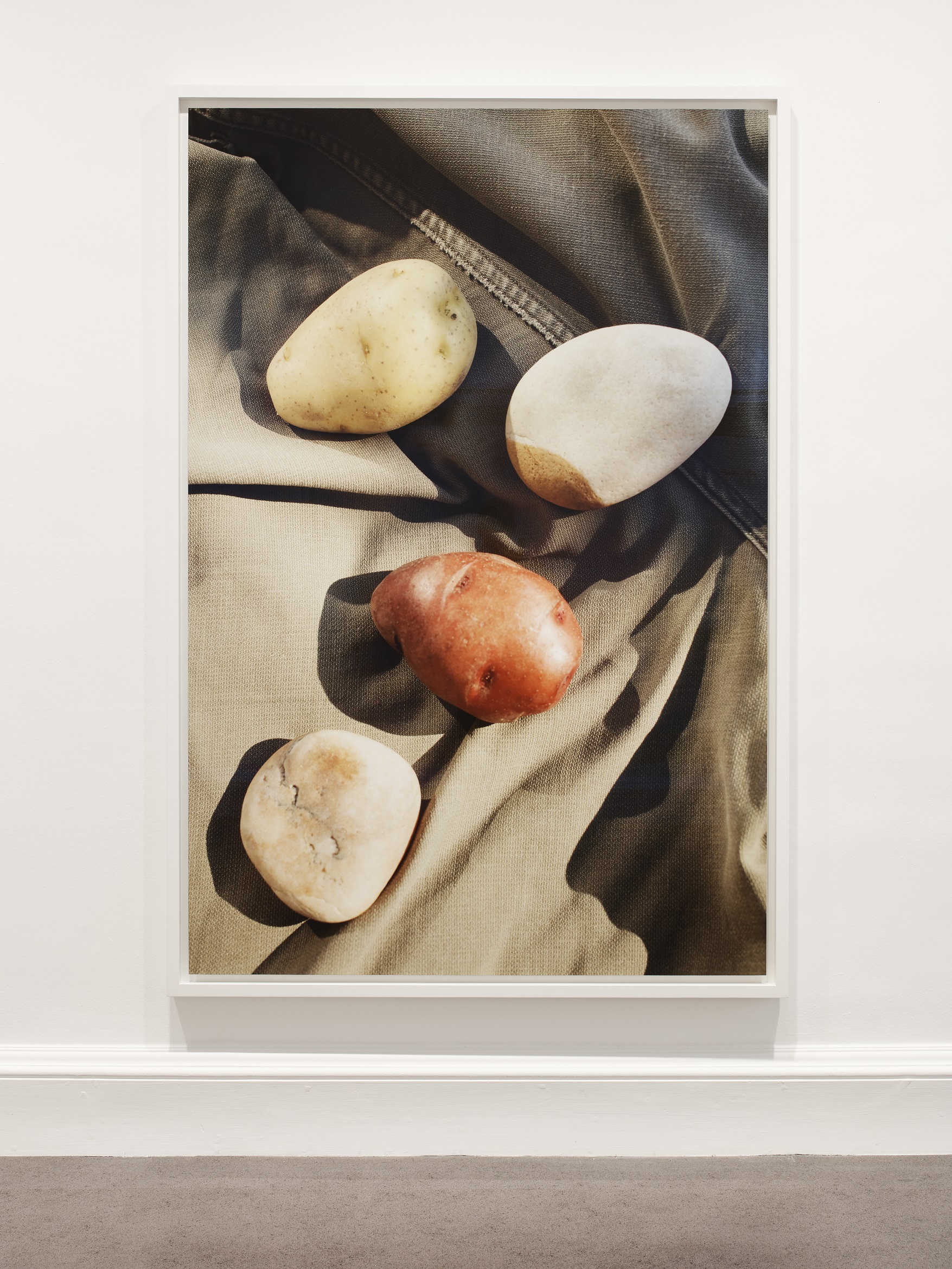 What is Wolfgang Tillmans' Still Life series all about?