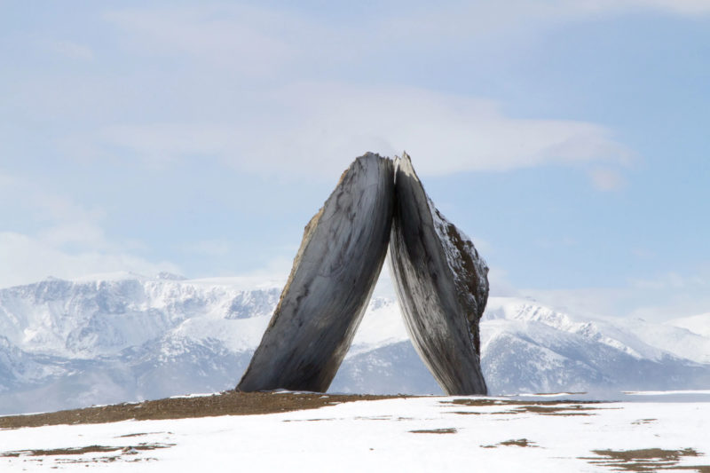 Ensamble Studio - Inverted Portal, Structures of Landscape, Tippet Rise Art Center, Fishtail, Montana, 2015
