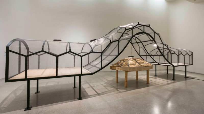 Huang Yong Ping - The Bridge, 1995, painted steel structure with bronze wire mesh, wood, warming lamps, electric cable, found faux-bronze figurines (patinized and painted), corn snakes, and sulcata tortoises, 320 x 1200 x 180 cm overall