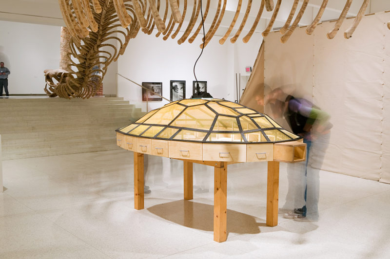 Huang Yong Ping - Theater of the World, 1993-2005, metal, wood, insects, reptiles, 66 x 295 x 175 cm, installation view, House of Oracles, Walker Art Center, Minneapolis, US, 2005