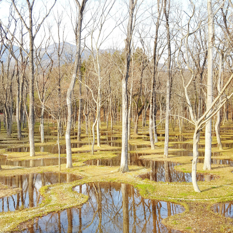 Junya Ishigami - Water Garden, 2018, Nasu Mountains, Tochigi Prefecture, Japan