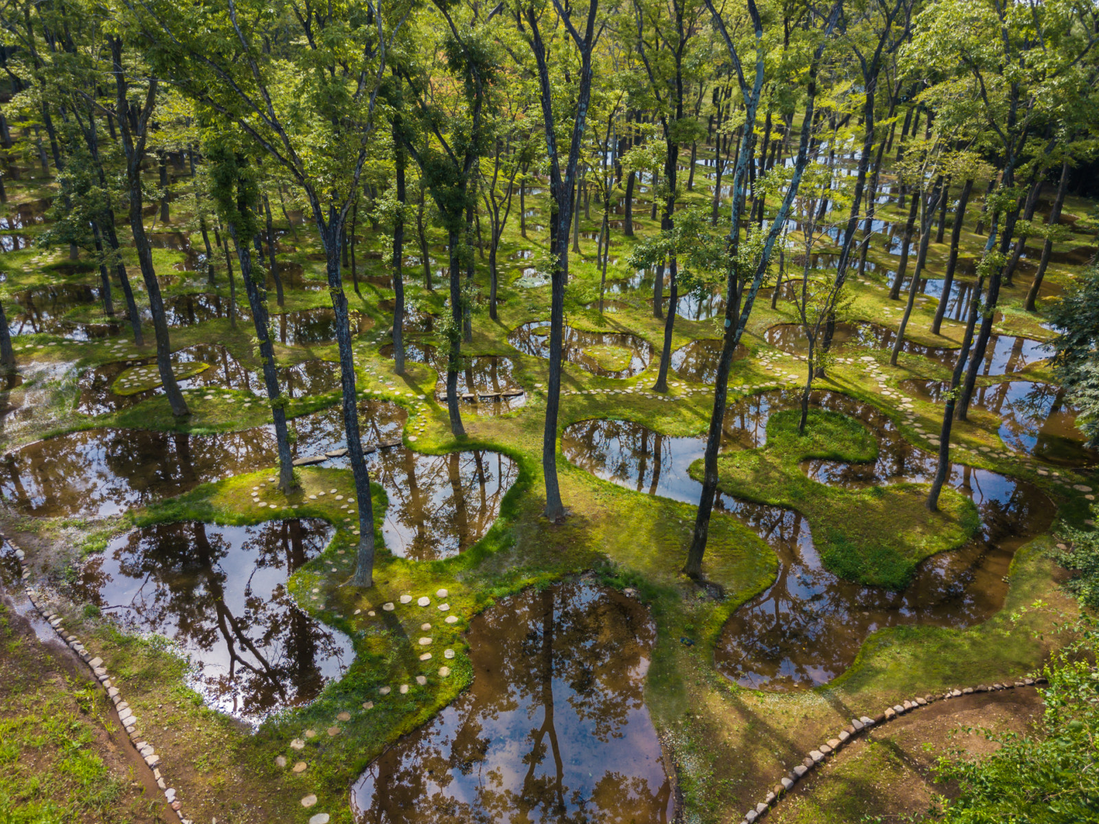 Junya Ishigami’s Art Biotop Water Garden Is this architecture?