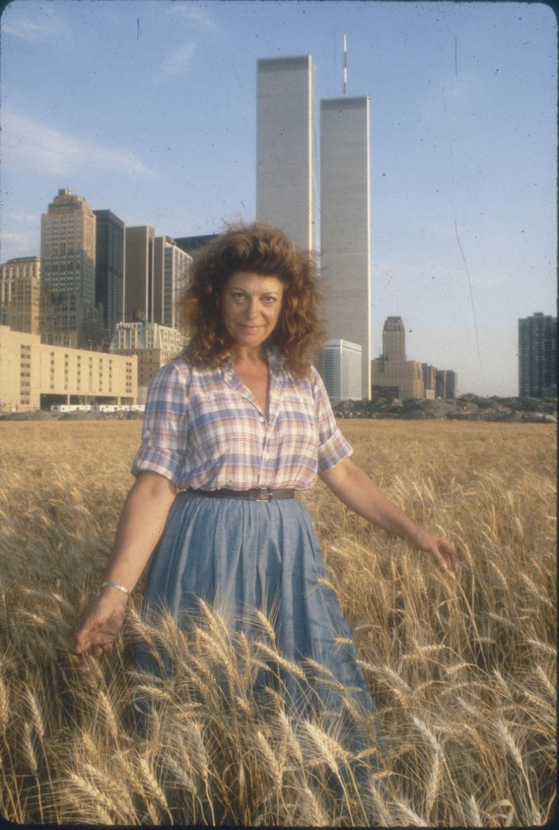 艾格妮斯·丹斯（Agnes Denes）-麦田（Wheatfield）-对抗，1982年，曼哈顿市中心巴特利公园垃圾填埋场（Battery Park Landfill）