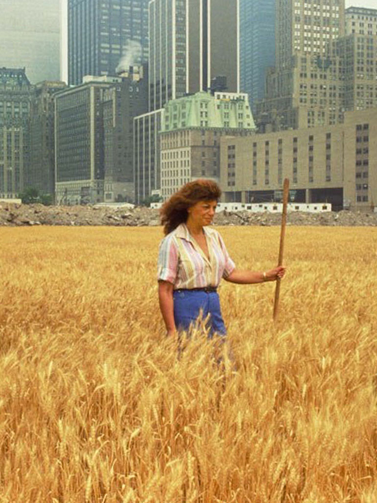 Why did Agnes Denes create this Wheatfield in New York?