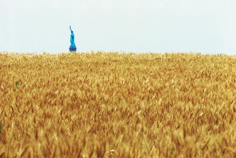 Agnes Denes - Wheatfield - A Confrontation, 1982, View the statue of Liberty across the Hudson, Battery Park Landfill, Downtown Manhattan
