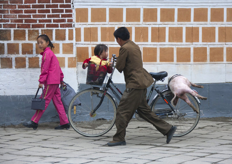 Eric Lafforgue – North Korea - Pig on bike, Kaesong