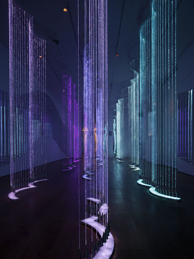 Why should you visit Bruce Munro’s Fields of Lights?