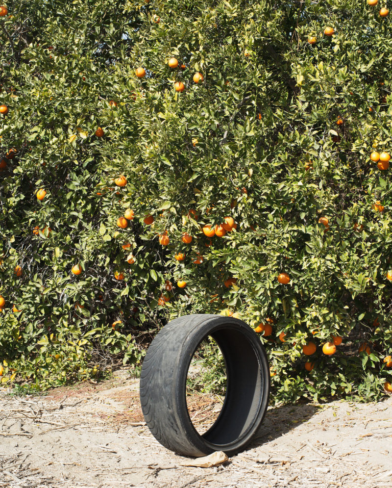 Ron Jude - Lago - Citrus #1 (w/ Tire), 2013