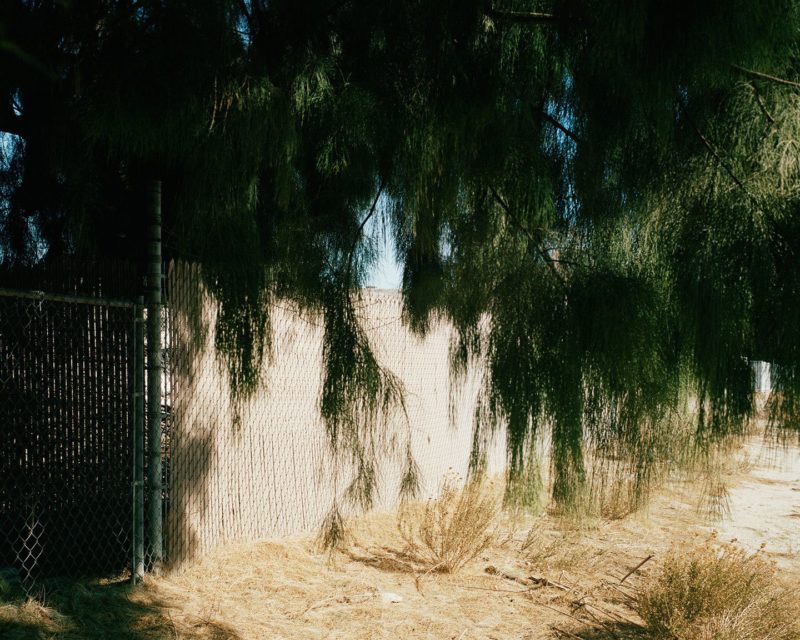 Ron Jude - Lago - Fence w/ Deep Shade, 2013