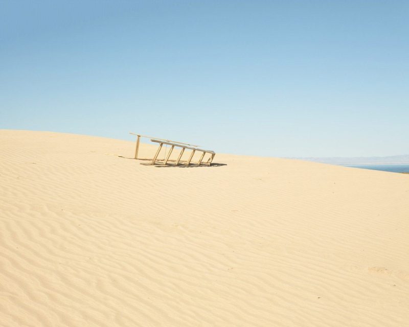Ron Jude - Lago - Ladder on Dune, 2011