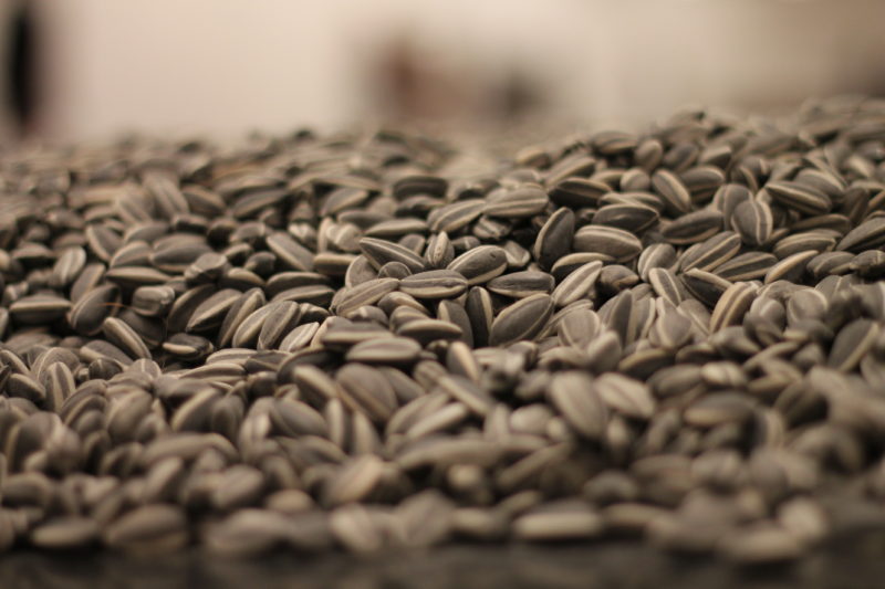 Ai Weiwei - Sunflower Seeds (detail), installation view, Tate Modern Turbine Hall, 2010