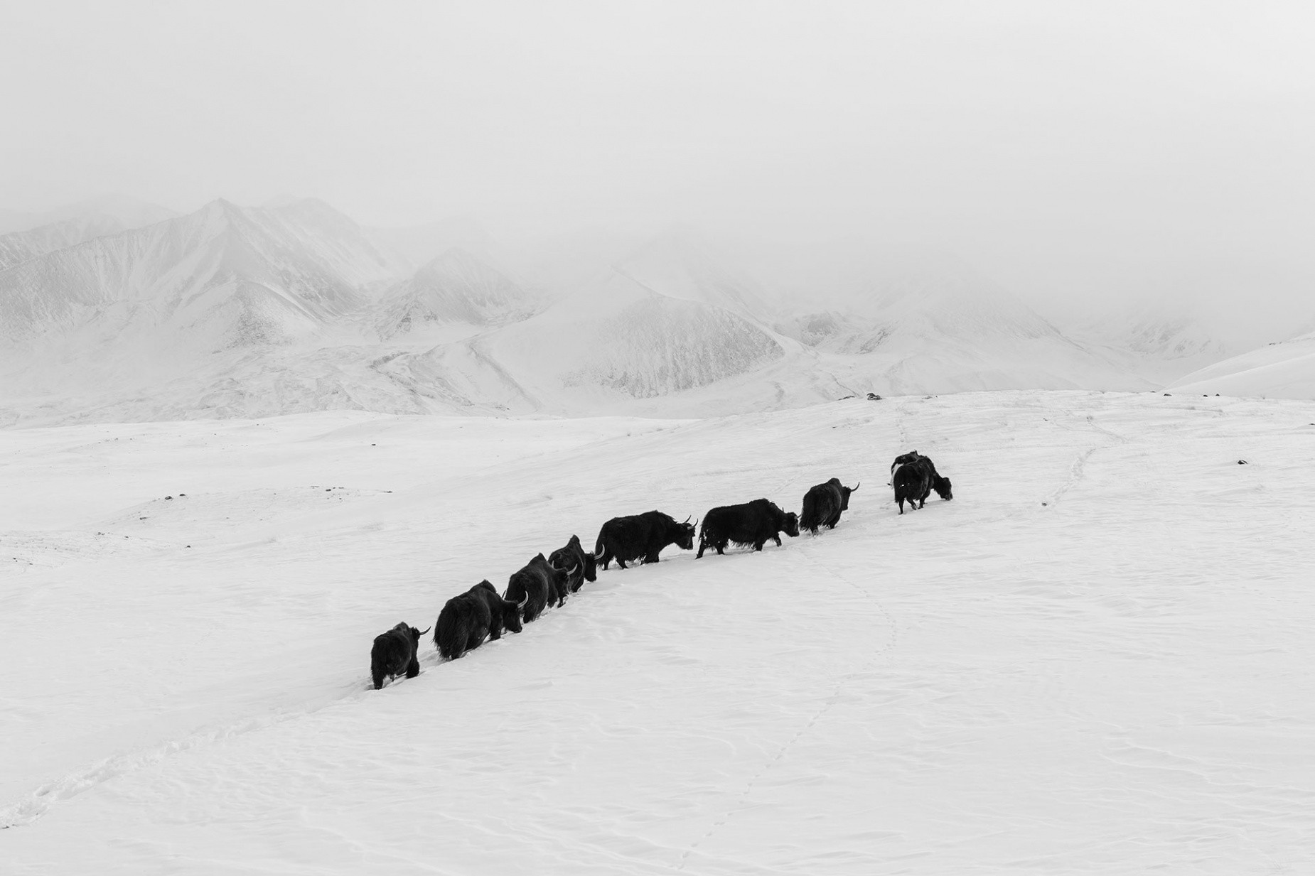 Frederik Buyckx’s almost mystical Kyrgyzstan photos