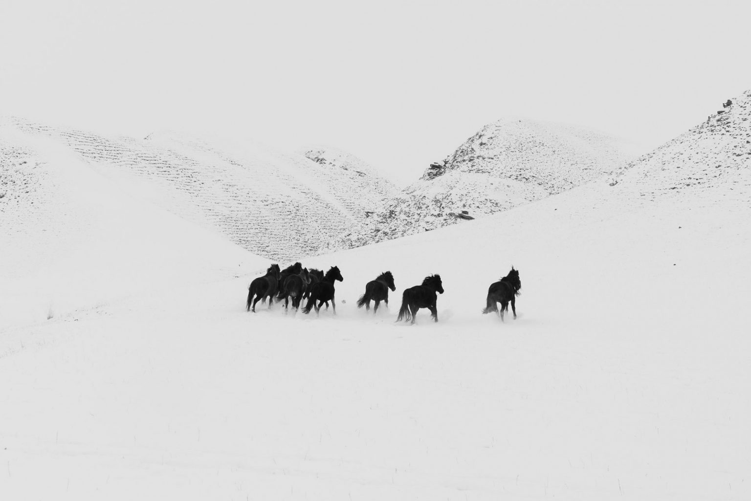 Frederik Buyckx’s Almost Mystical Kyrgyzstan Photos