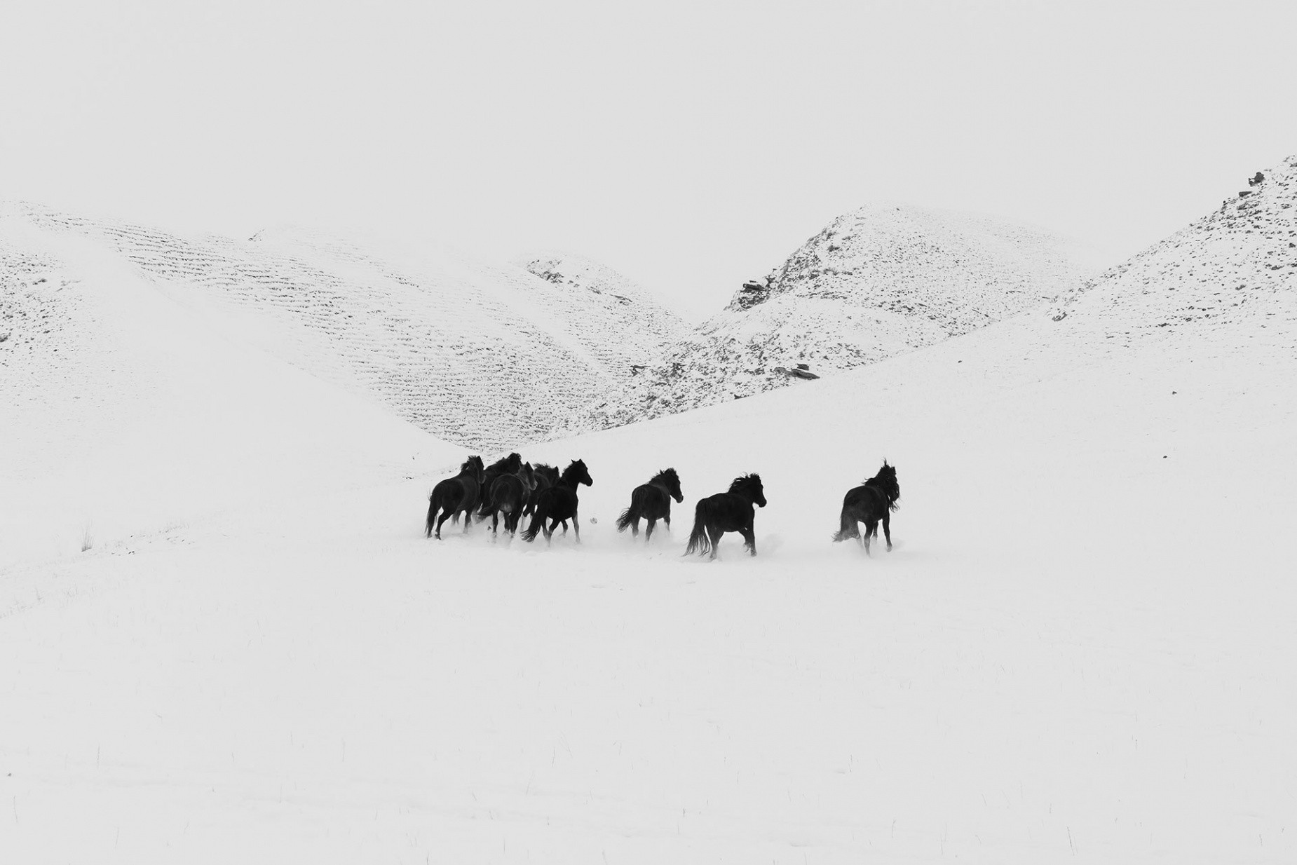 Frederik Buyckx’s almost mystical Kyrgyzstan photos