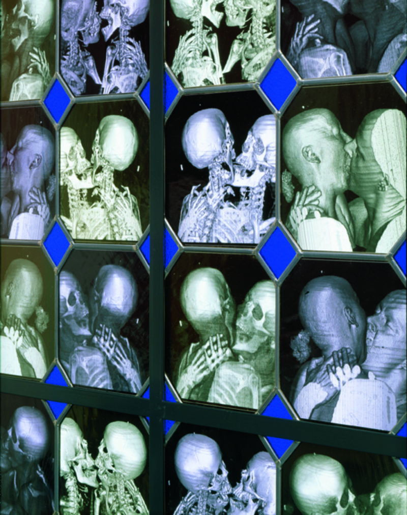 Wim Delvoye - Erato (detail), 2001-2002, steel, x-ray photographs, lead, glass, 200 x 80 cm