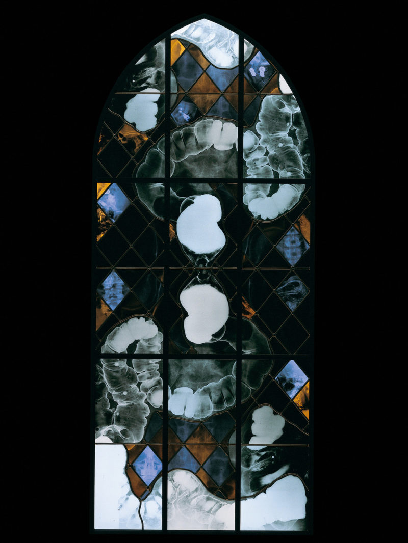 Wim Delvoye - July, 2001, steel, x-ray photographs, lead, glass, 244 x 104 cm