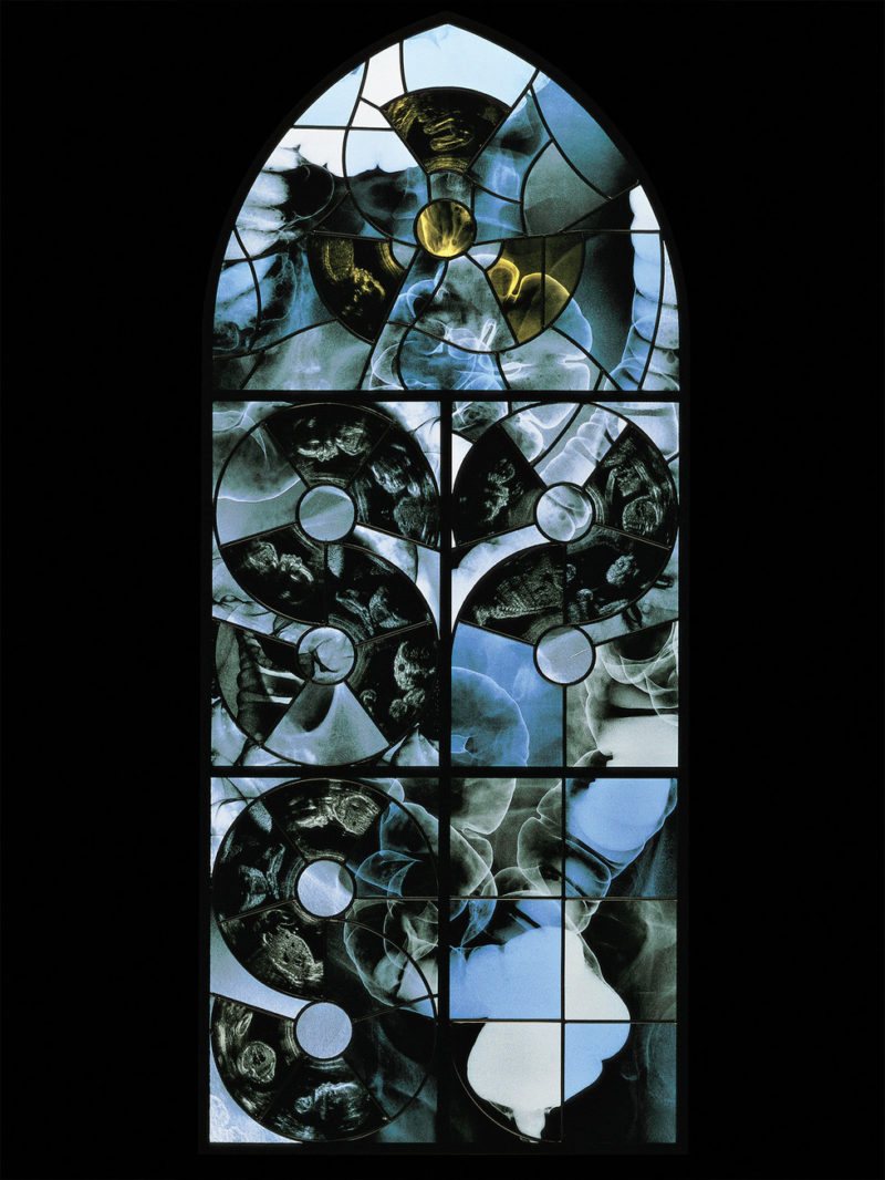 Wim Delvoye - June, 2001, steel, x-ray photographs, lead, glass, 244 x 104 cm