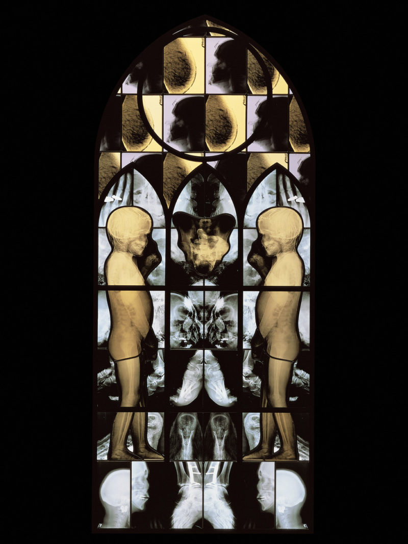 Wim Delvoye - March, 2001, steel, x-ray photographs, lead, glass, 244 x 104 cm