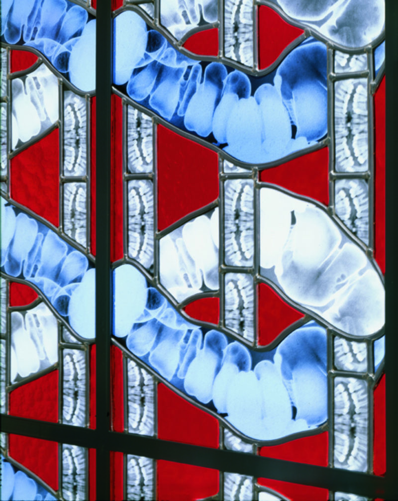 Wim Delvoye - Terpsichore (detail), 2001-2002, steel, x-ray photographs, lead, glass, 200 x 80 cm