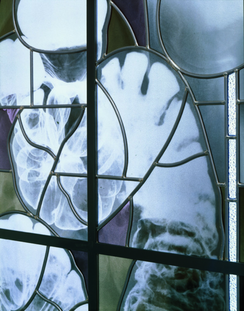 Wim Delvoye - Thalia (detail), 2001-2002, steel, x-ray photographs, lead, glass, 200 x 80 cm