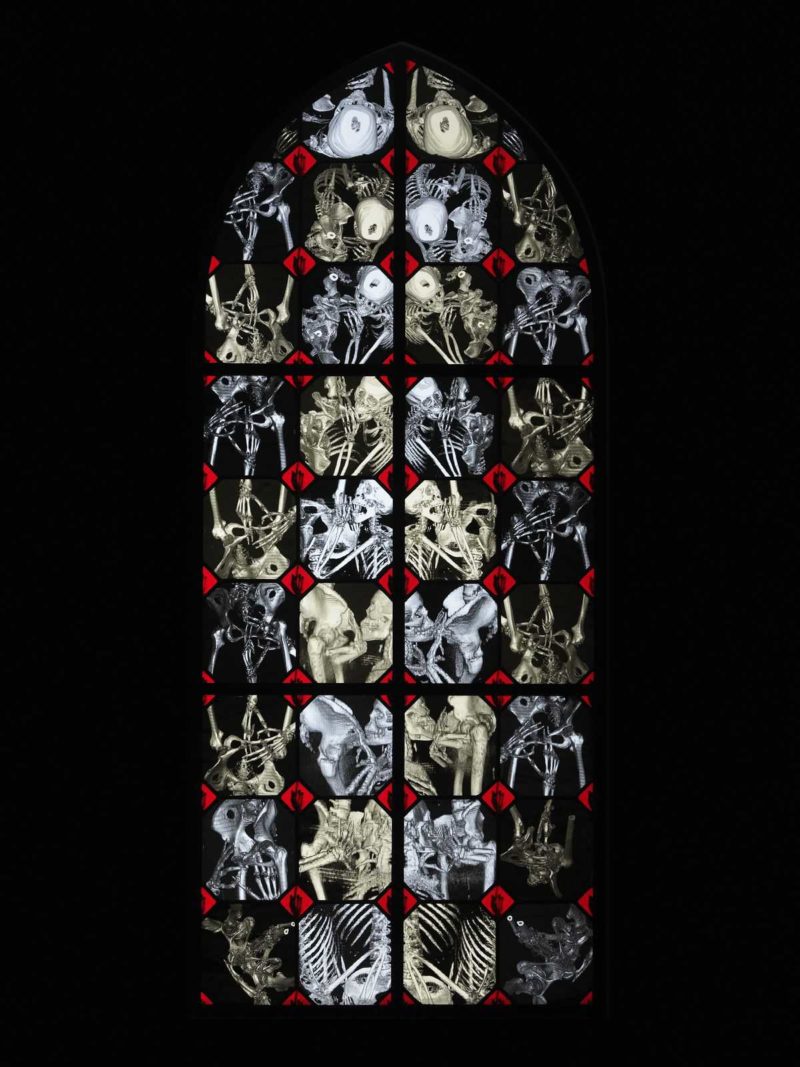 Wim Delvoye - Tuesday, 2008, steel, x-rays photographs, lead, glass, 83 x 198 cm